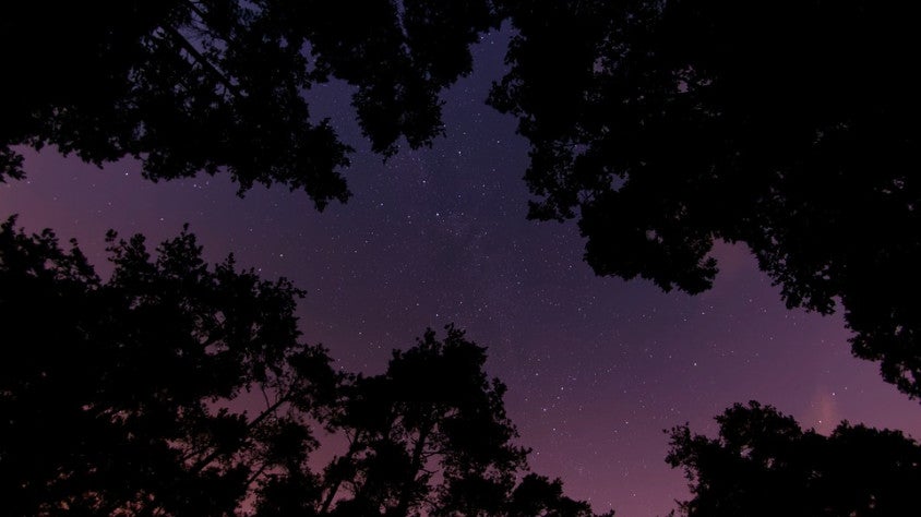 Contaminació lumínica: la pèrdua de la nit