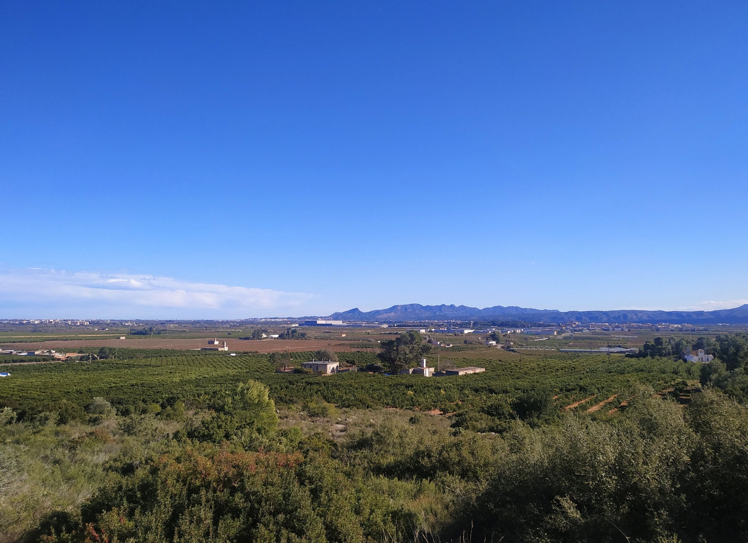 Roders de llegenda: Nyec (Benimuslem)