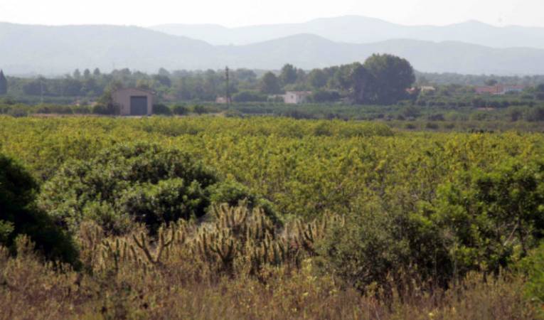 Menys despeses militars i més Sanitat, Educació, Investigació i Serveis Públics