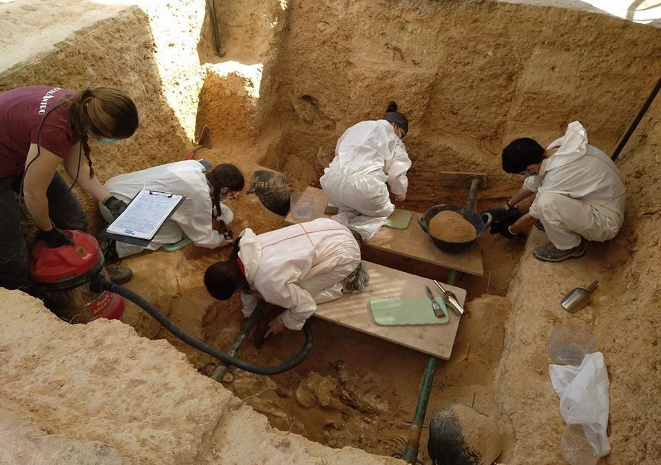 La Generalitat realitzarà al cementeri de Paterna l'exhumació més nombrosa de víctimes del franquisme