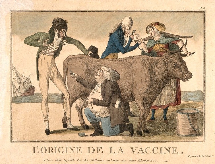 Dandis, vaques, ovelles i titots