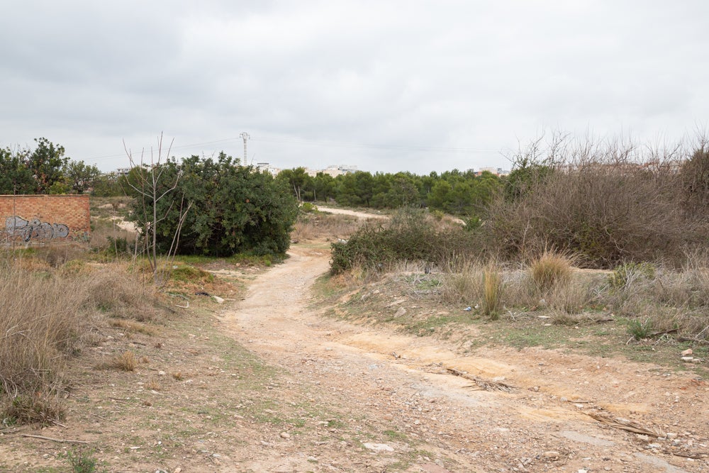 cami_de_la_sang_paternacami_de_la_sang_-_ulisses_ortiz_-9e-jpgjpg