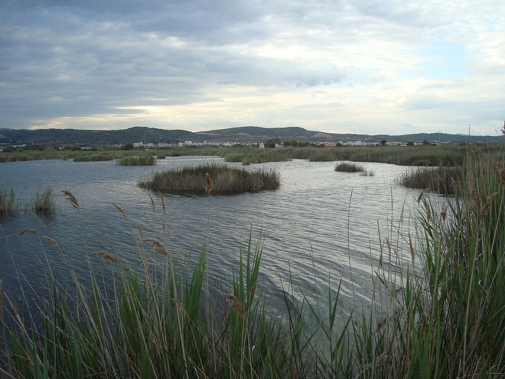 Així ajudaran els aiguamolls a aconseguir la neutralitat climàtica en 2050
