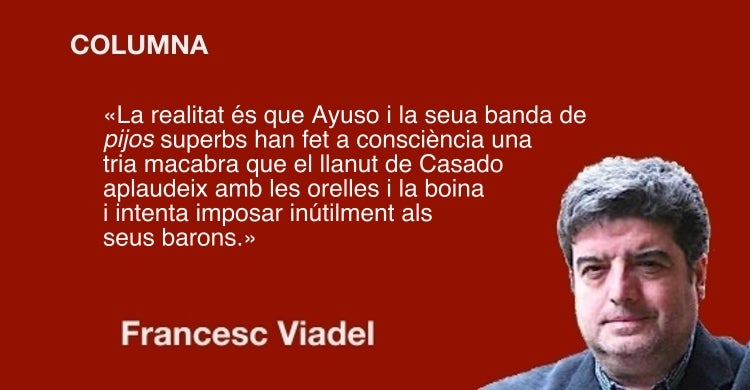 Madrid, el PP i el bitxo de Darwin