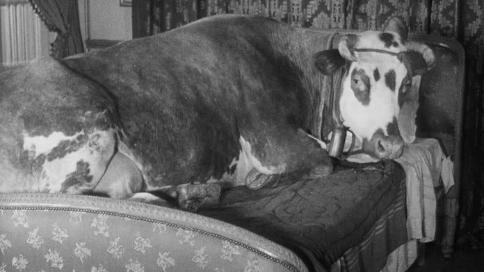 L’âge d’or (1930), de Luis Buñuel