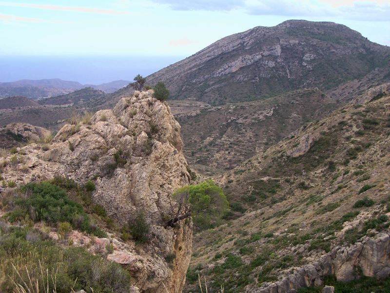 Una eina informàtica facilita la gestió de les zones forestals cremades