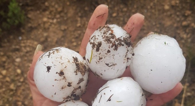 Graníssol de la grandària de pilotes de tenis a Requena
