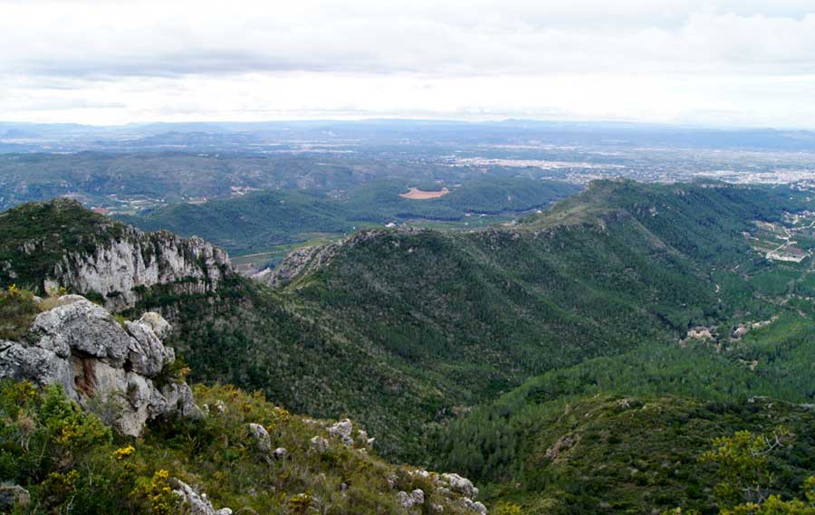 Es destinen 589.000 EUR al voluntariat per a la prevenció d'incendis forestals
