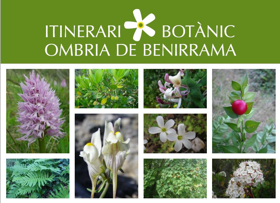 AE-Agró dissenya un itinerari botànic per a l’Ombria de Benirrama