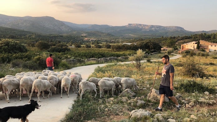 Mulet pregunta al govern espanyol per què internet no funciona bé a les comarques d'interior