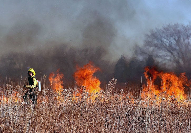 Un estudi revela els ingredients dels grans incendis forestals