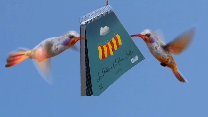 Manel Costa Adrián, «La Poètica del Poca-Solta»