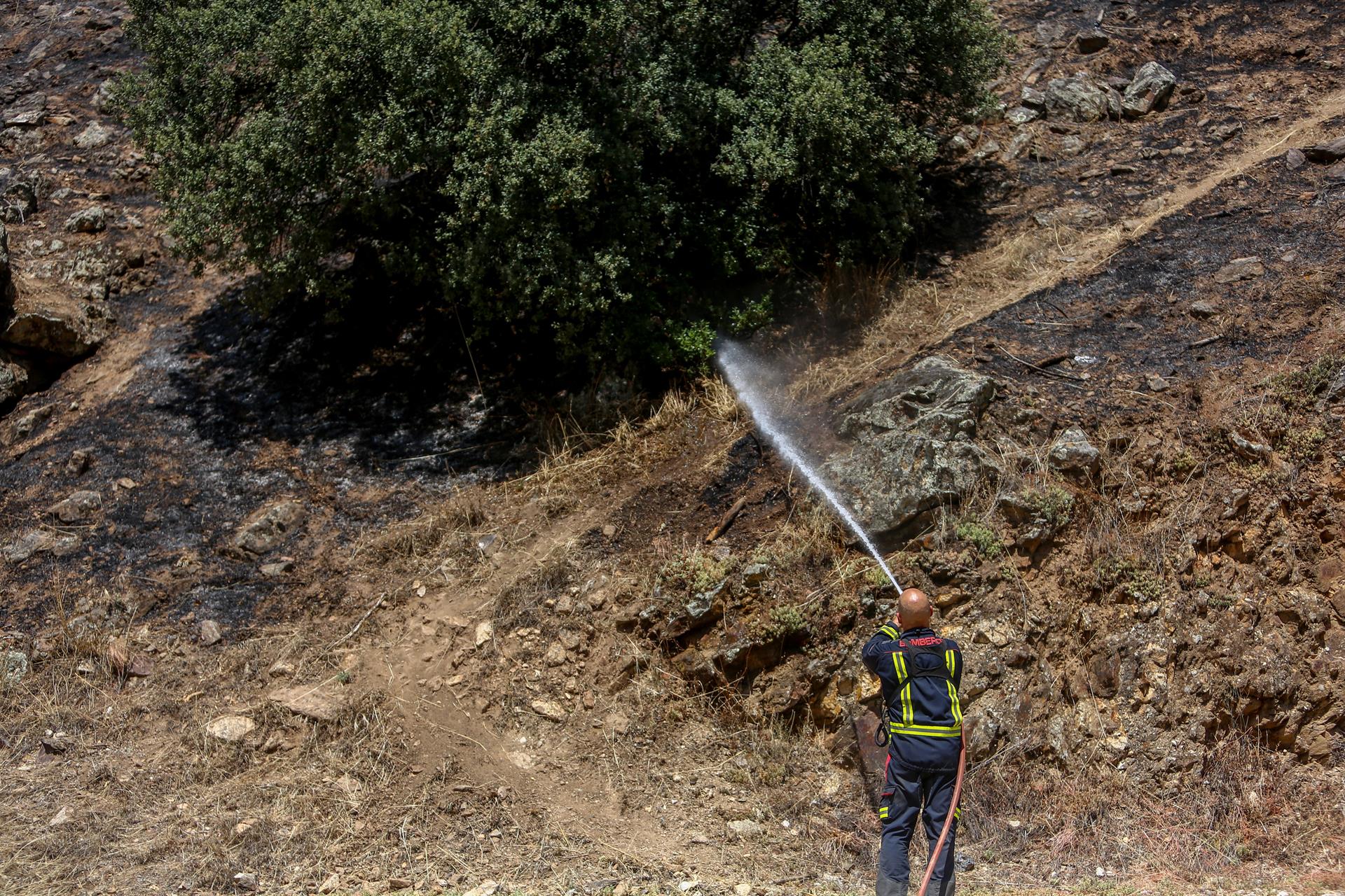 El foc crema més de 37.535 hectàrees de superfície forestal en 2021, el 12% al Mediterrani
