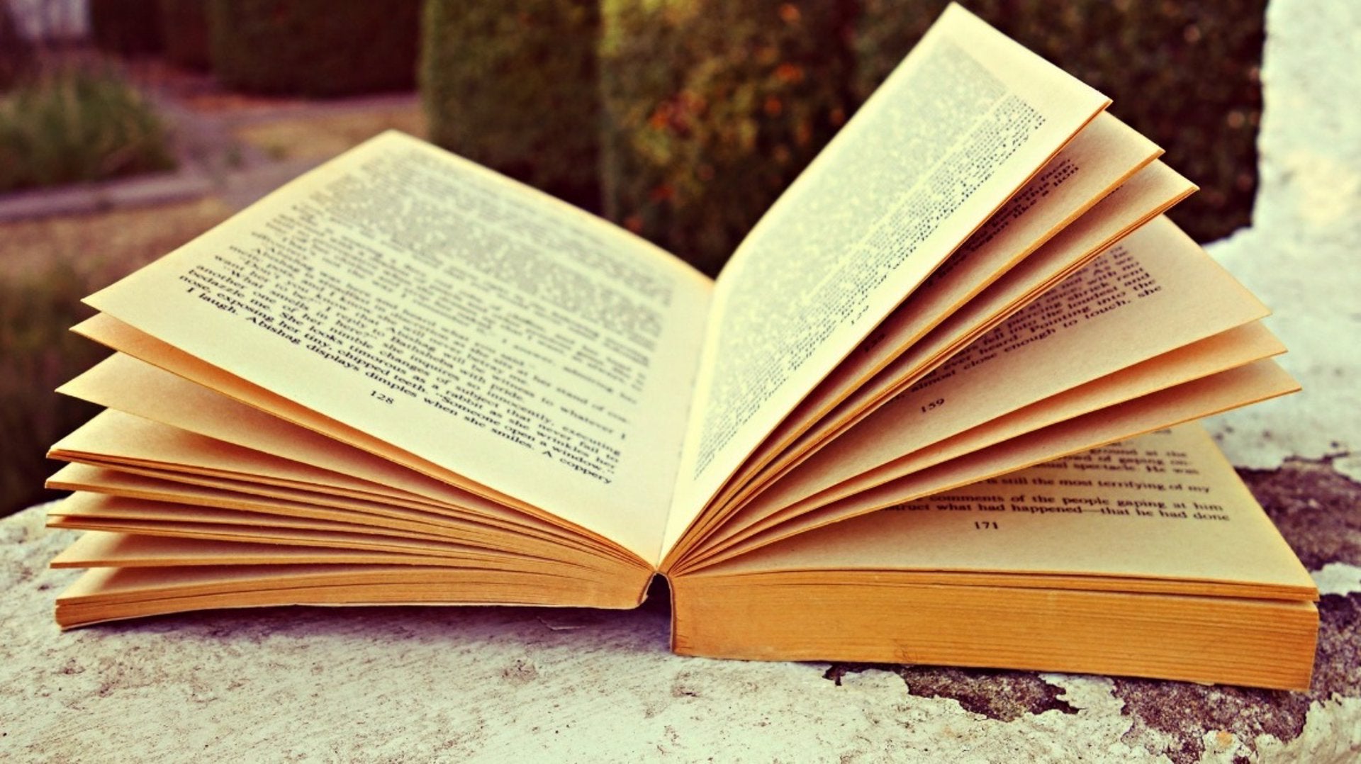 Set llibrerías valencianes acullen trobades entre escriptors dins del programa 'Afinidades electivas'