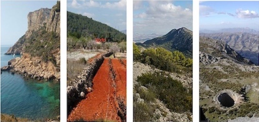 Experts de tot el món tracten els reptes de la restauració ecològica a la Universitat d'Alacant