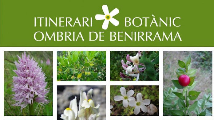 L’itinerari botànic de Benirrama s'inaugura aquest dissabte