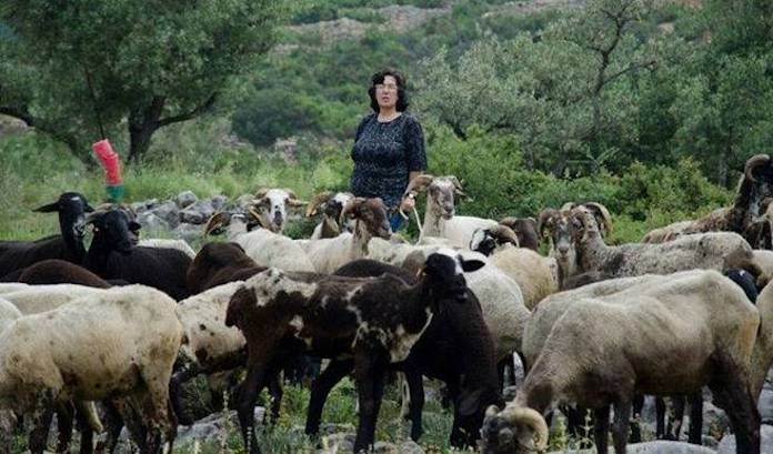 La Llei contra la despoblació buscarà la simplificació administrativa i la fiscalitat diferenciada