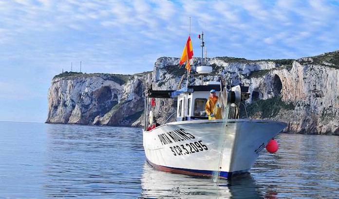 Detecten plastificants en sardines, aladrocs i lluços de la Mediterrània occidental