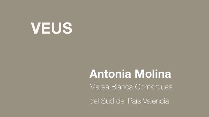 L'ordenança municipal de l'ajuntament d'Alacant a la llum de la salut pública