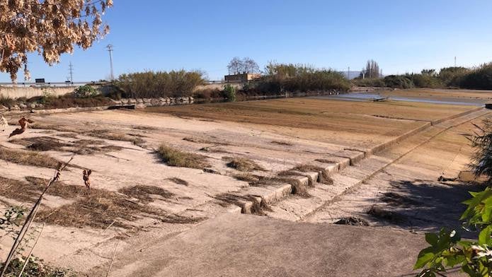 L'Assut de Cullera el dilluns 13 de desembre | Xúquer Viu