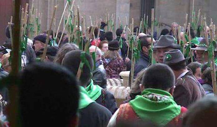 El valencià, llengua oficial de les festes de Castelló de la Plana als nous estatuts