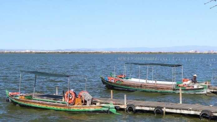 Denuncien que el Pla Hidrològic del Xúquer «no té ambició per recuperar el bon estat de l'Albufera»