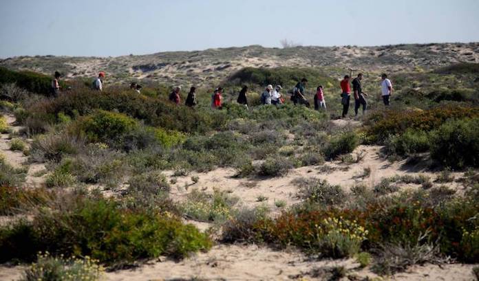 La UV proposa el primer itinerari europeu de les espècies, les aromes i les plantes medicinals