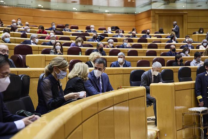 Ple del Senat | Jesús Hellín | EP