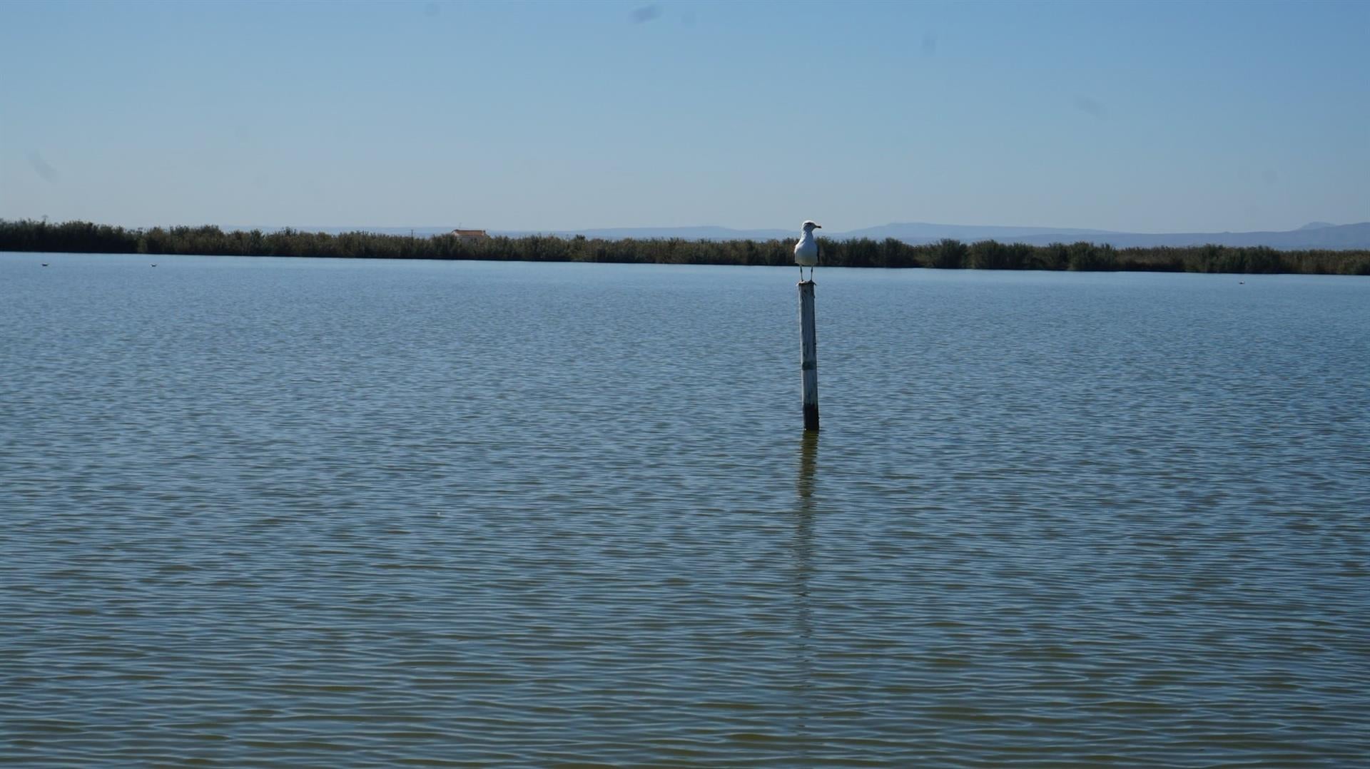 Experts debatran en la UPV sobre el desafiament del canvi climàtic en l'Albufera