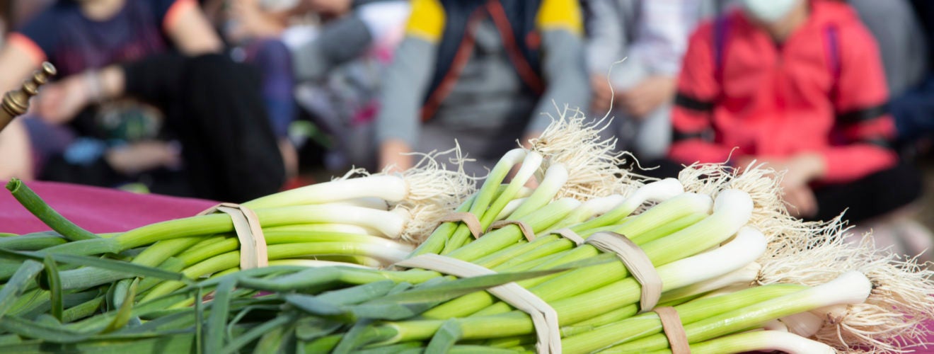 L’all tendre, protagonista d’una setmana gastronòmica a Xàtiva