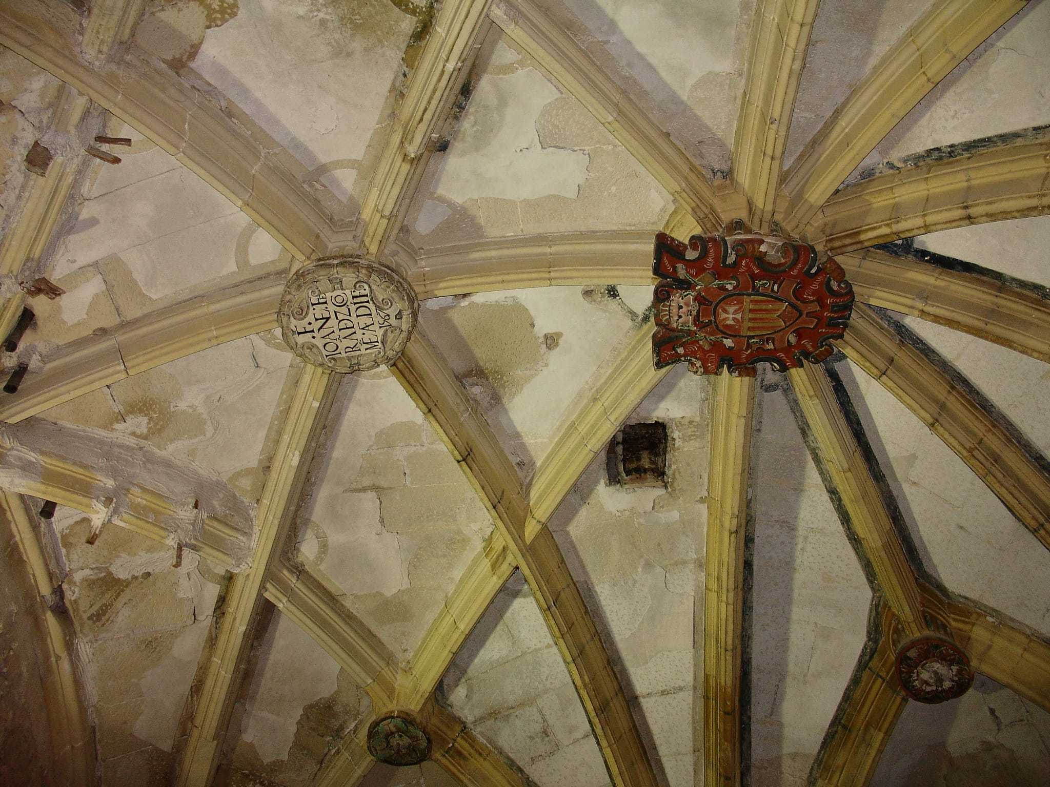 Sostre del convent de la Mercè, a Elx