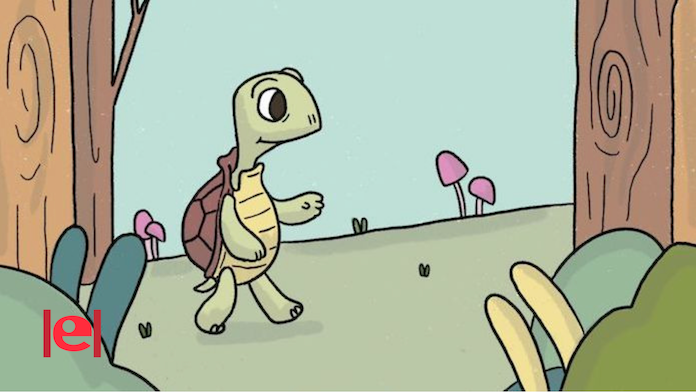 Una tortuga i un gripau ens descobreixen les claus de la felicitat