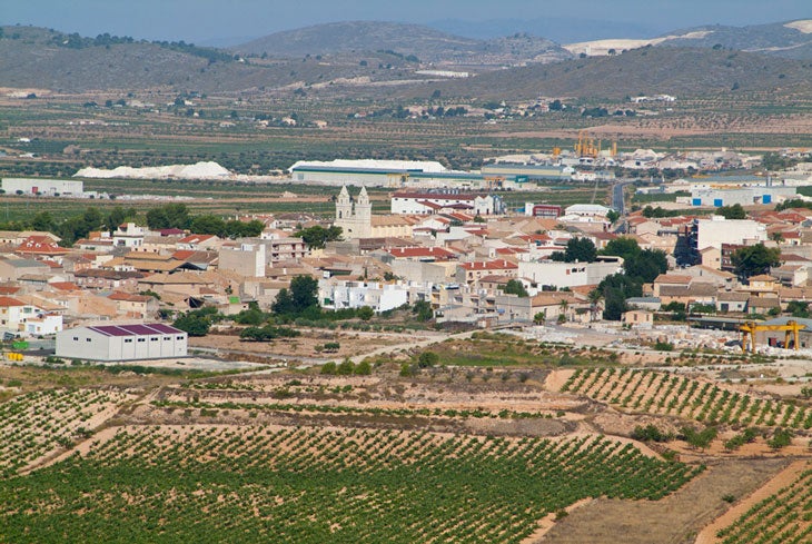 Panoràmica de L'Alguenya, al Vinalopó Mitjà