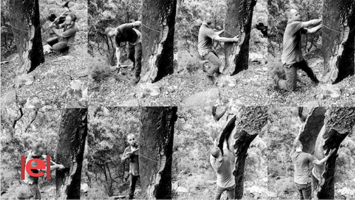 Un passeig artístic per les sureres d'Aín, al cor de la Serra d'Espadà