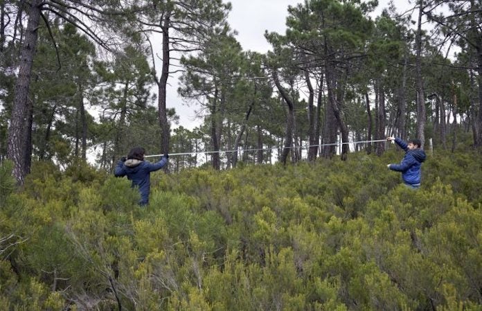Bleda i Rosa a Torralba del Pinar | IVAM