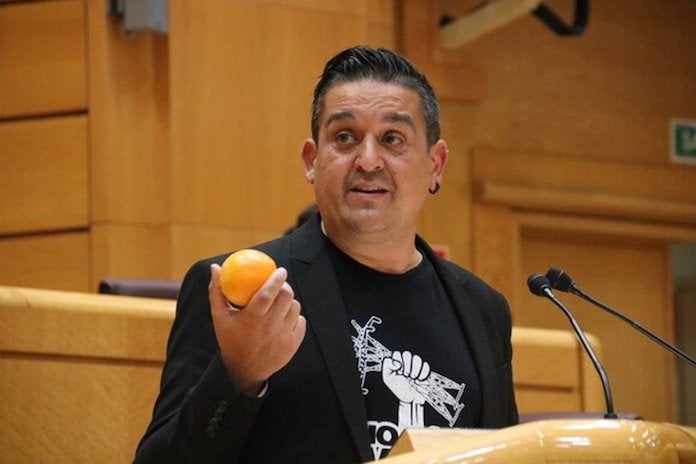 El senador de Compromís, Carles Mulet