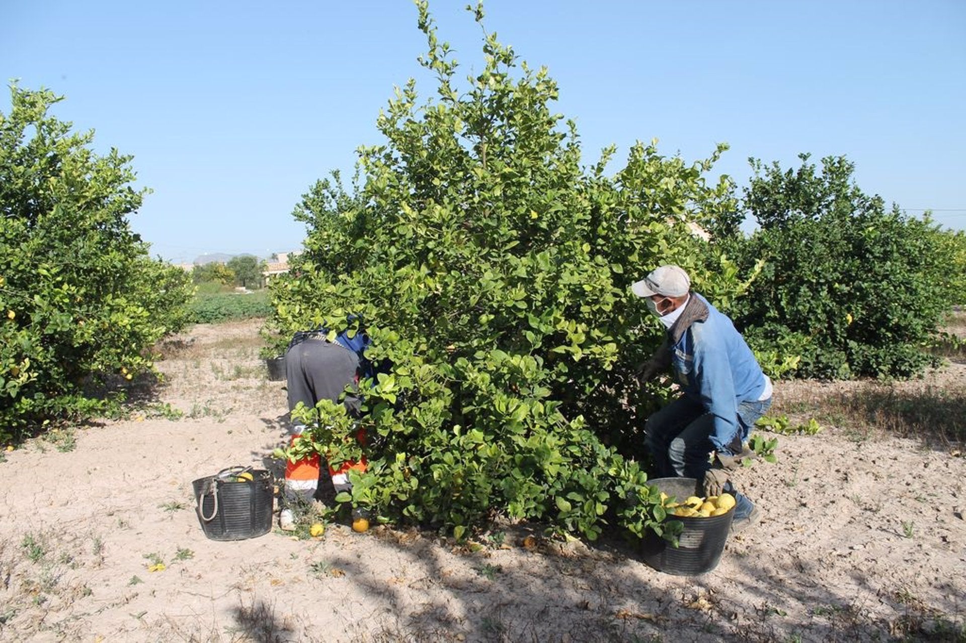 L’Estat i els regants de les comarques del sud acorden una rebaixa del preu de l’aigua del transvasament Xúquer-Vinalopó