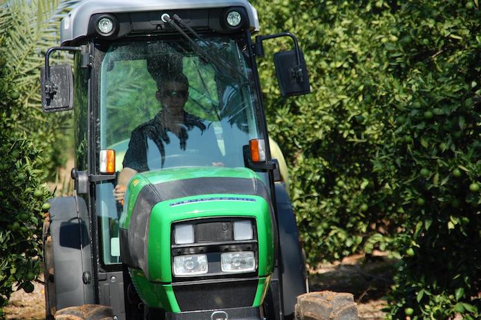 La Unió demana a l’AVL que retire del diccionari l’accepció «despectiva» de la paraula «llauro»