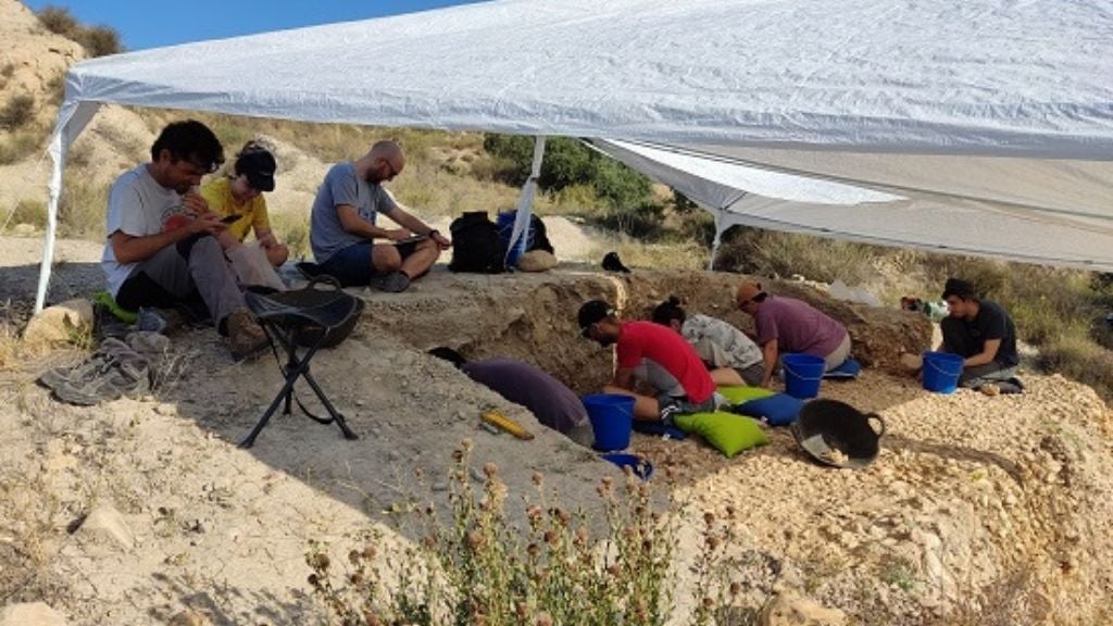 Vista general de l’excavació del jaciment de Los Aljezares (Asp, Alacant) durant el mes de juliol passat