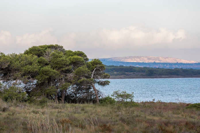 Les Llacunes de la Mata i Torrevella