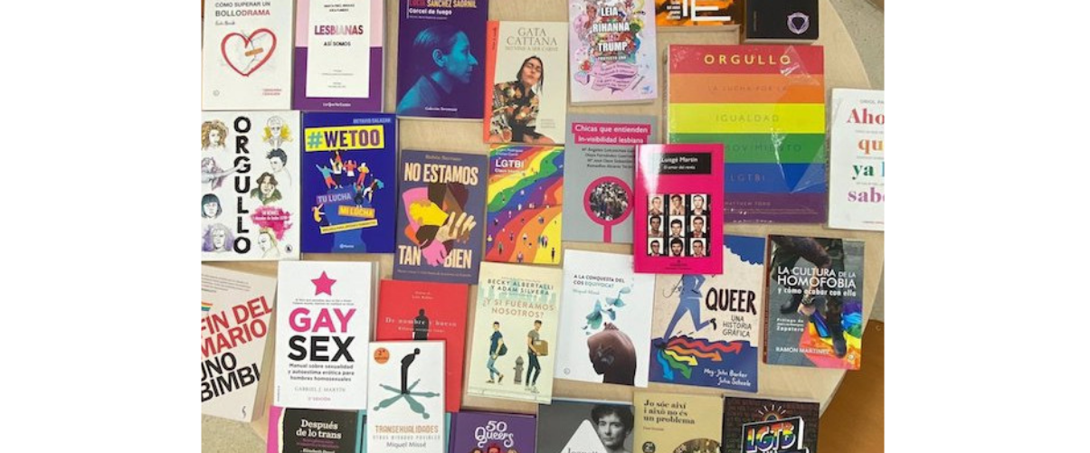 Alguns dels 32 llibres repartits per l'Ajuntament de Castelló de la Plana