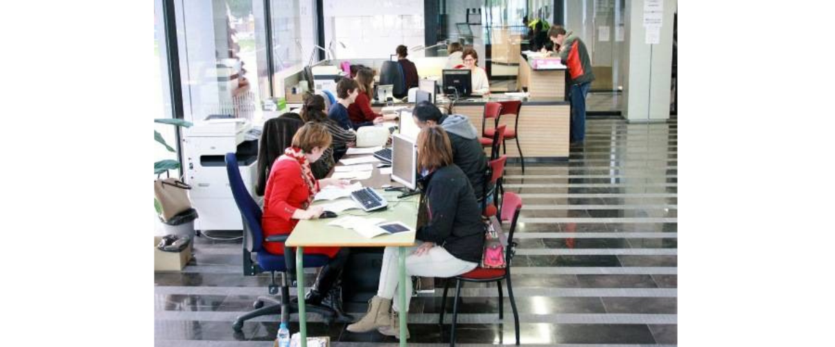 Plataforma per la Llengua demana l’aprovació d’un decret que garantisca una capacitació real en valencià dels funcionaris