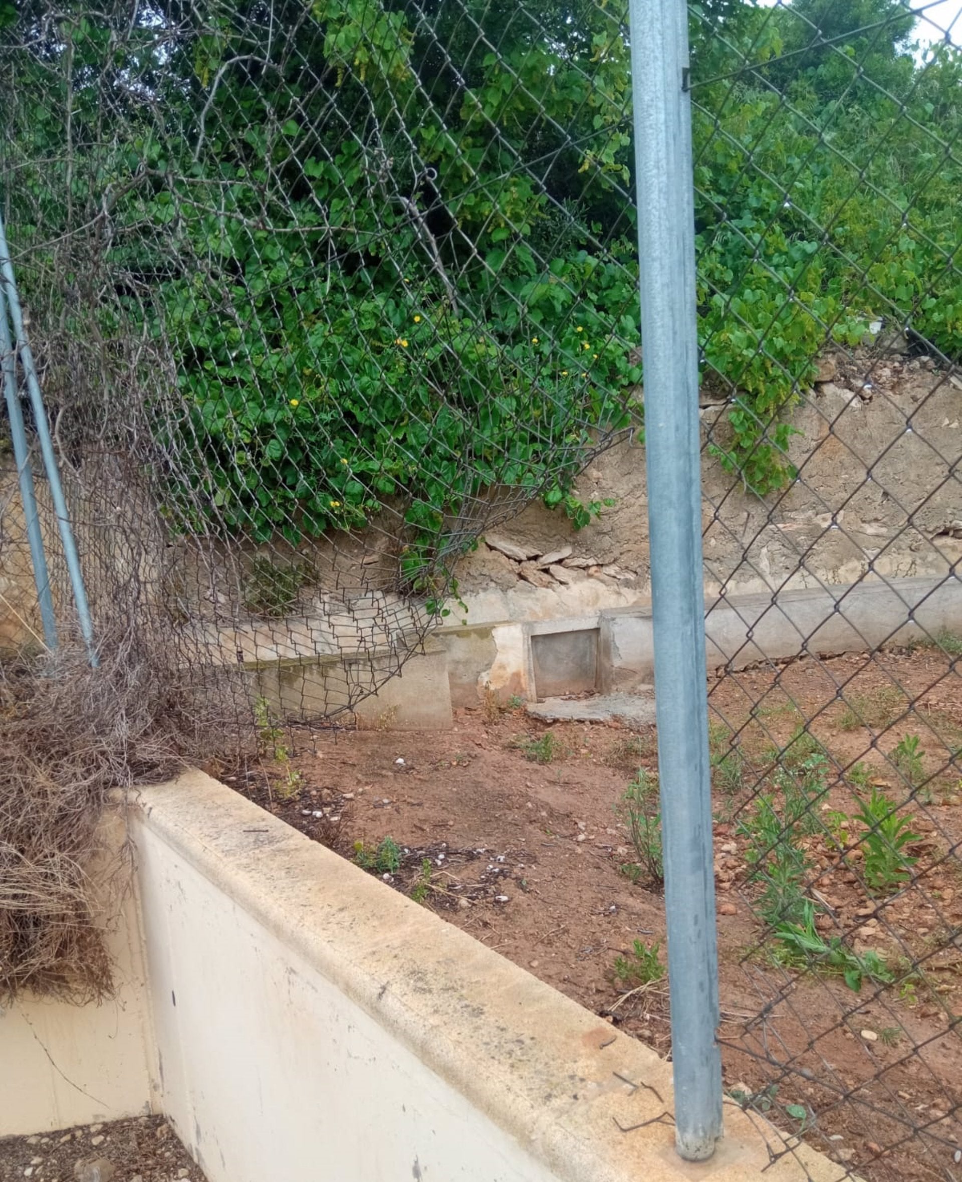 Forat per accedir a un terreny agrícola a robar