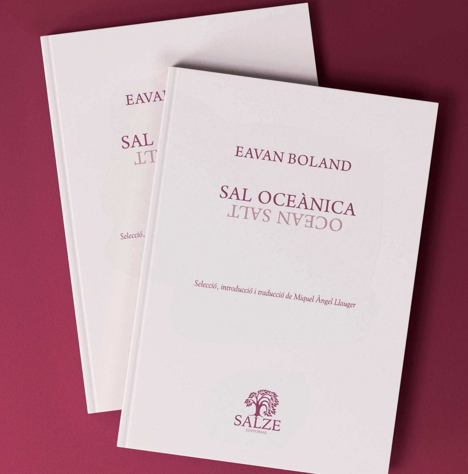 Eavan Boland, la poeta més important d’Irlanda, per primera vegada en català