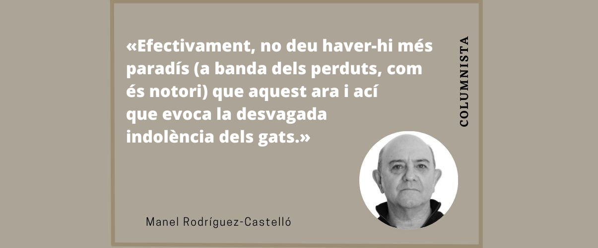 El paradís i els gats