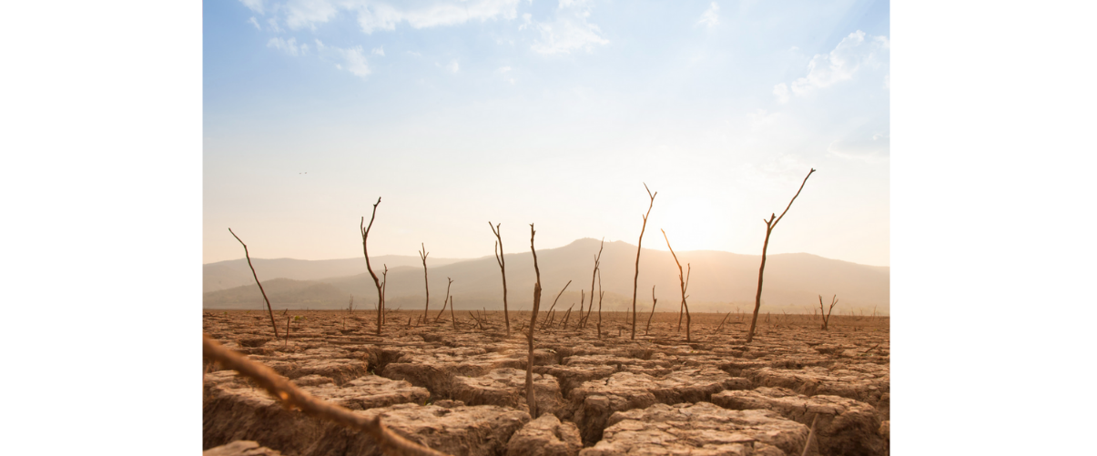 El canvi climàtic influeix en la probabilitat que es desencadenen conflictes armats, segons un estudi