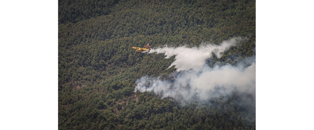 Incendi a l'Alt Urgell, el 17 de juny del 2022 |  Jordi Borràs  | ACN