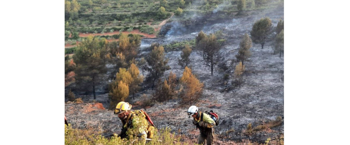 Bombers forestals a l'incendi de Viver i Caudiel | GVA