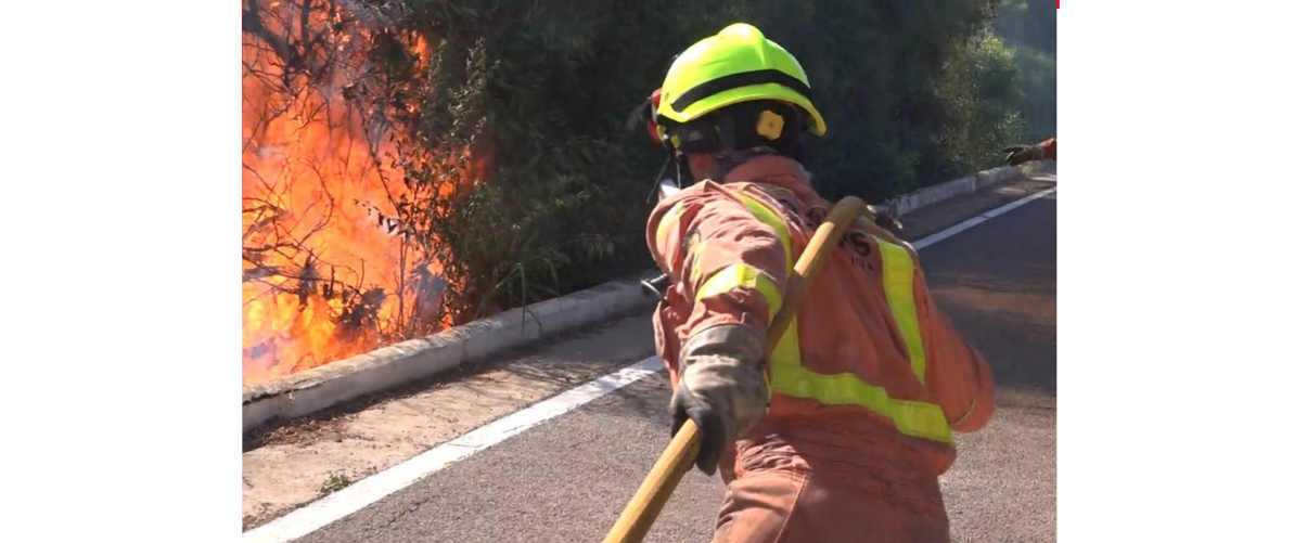 Un incendi forestal a Riba-roja de Túria obliga a desallotjar la urbanització Masia de Traver