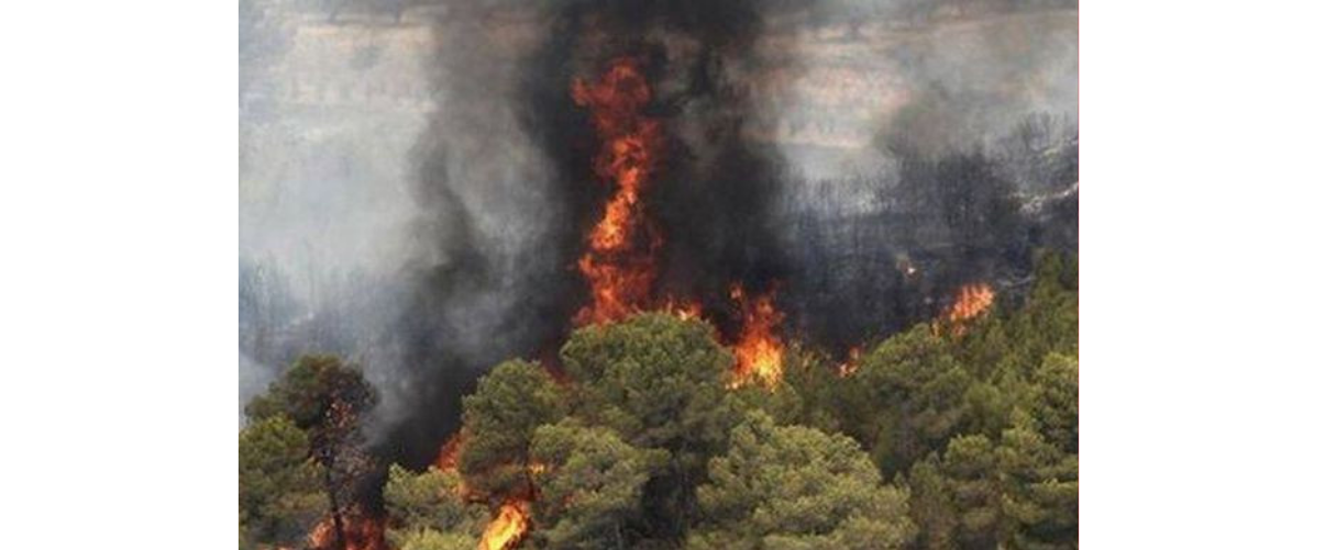 Tal dia com hui del 1994 van morir sis veïns de Millars en un tràgic incendi forestal que va cremar més de 25.000 hectàrees